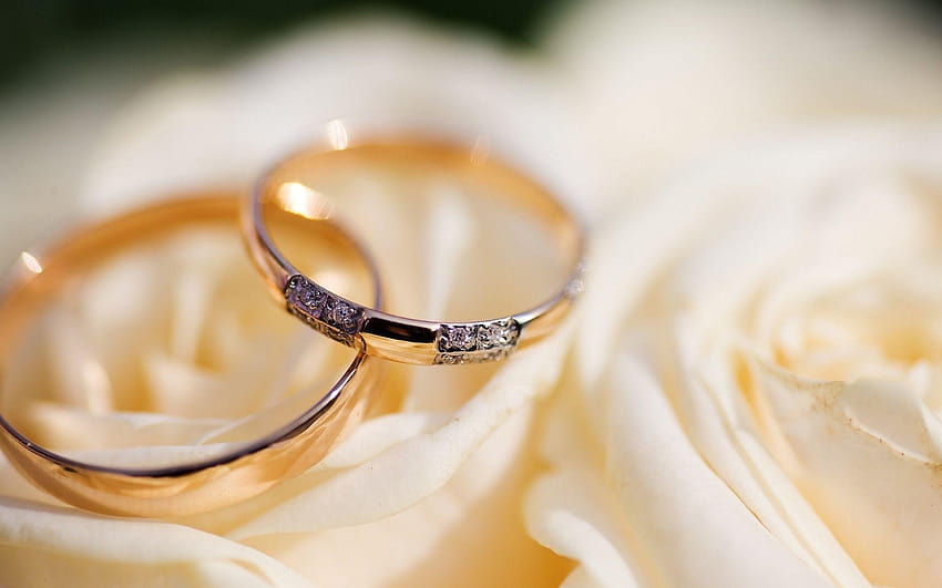 Сватбени пръстени за поздравления HD тапет