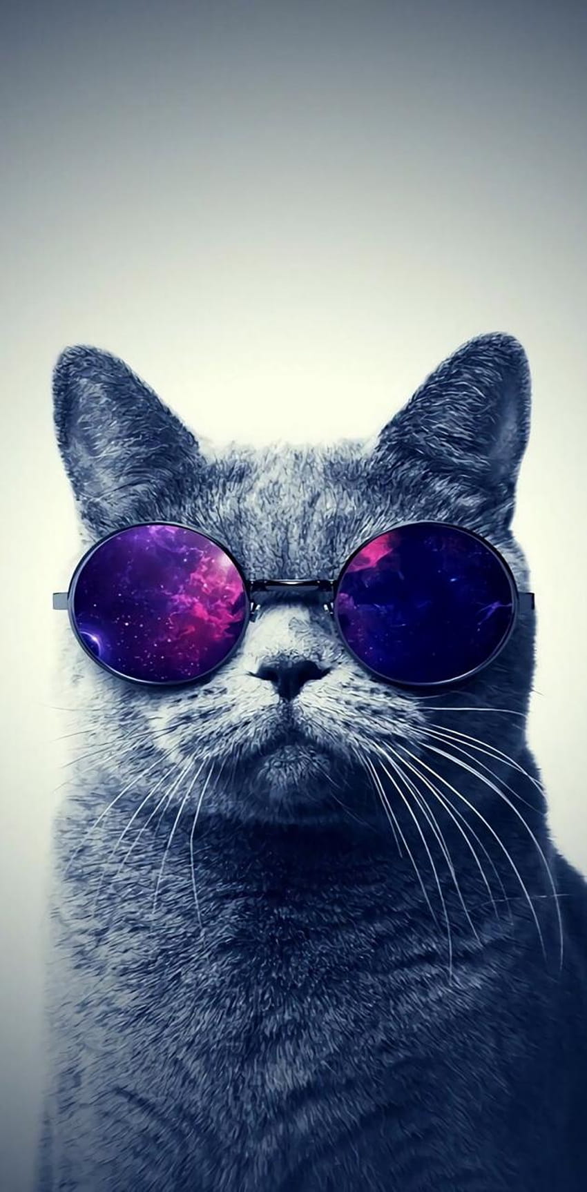 Galaxy cat by CrySolvent, cute summer cat HD phone wallpaper