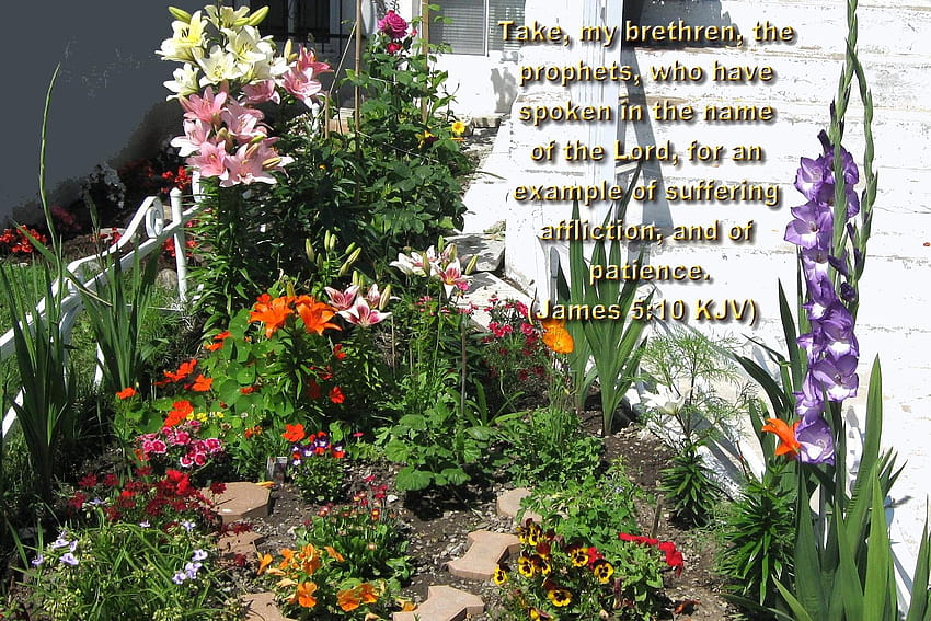 летни цветя летни цветя гъски с стихове от монреалската библия [1800x1200] за вашия , мобилен телефон и таблет HD тапет