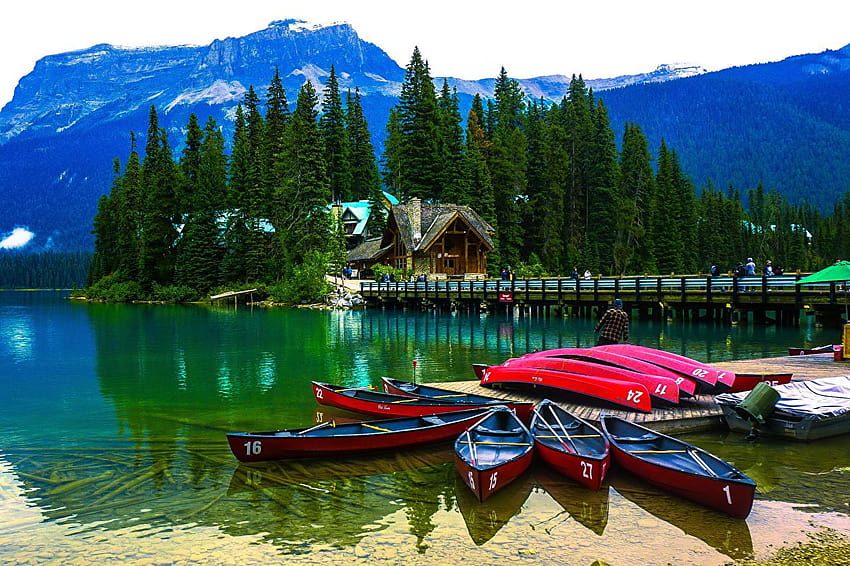 Canada Emerald Lake Yoho National Park Nature Spruce HD wallpaper