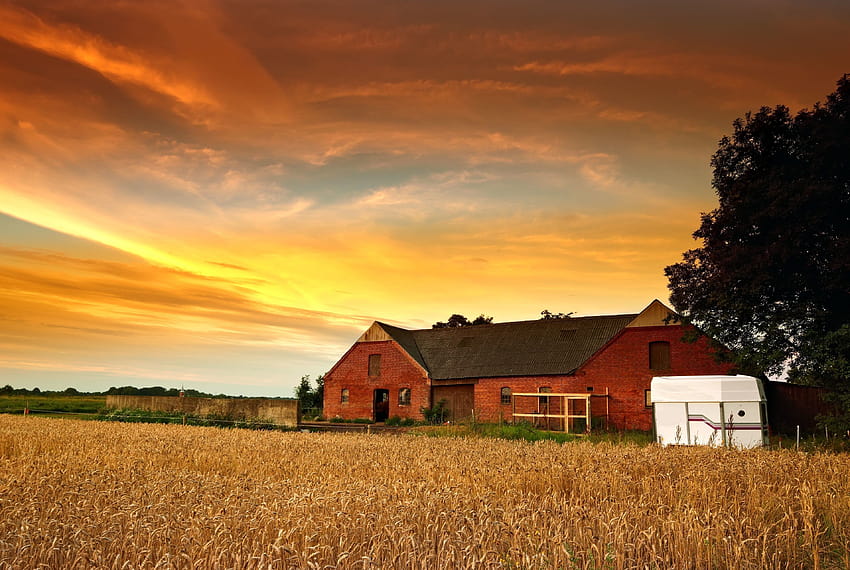 nature, Farm, Sun / and Mobile Backgrounds, farmhouse HD wallpaper
