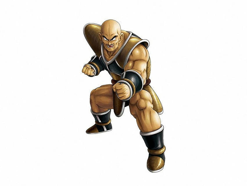 Nappa Hd Wallpaper Pxfuel