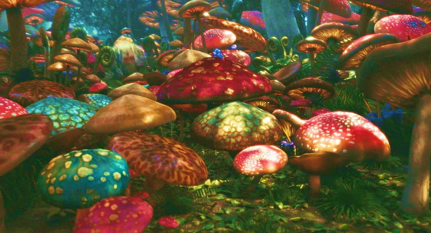Go Back For Mushrooms Trippy [1280x691] para tu móvil y tableta, estética de hongos fondo de pantalla