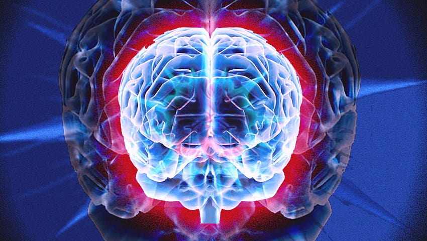 3 Brain, human brain HD wallpaper