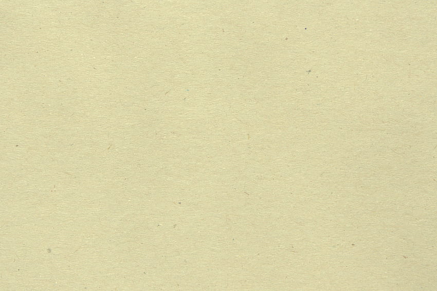 Tekstur Kertas Putih Ivory Off dengan Flek, latar belakang berwarna krem Wallpaper HD