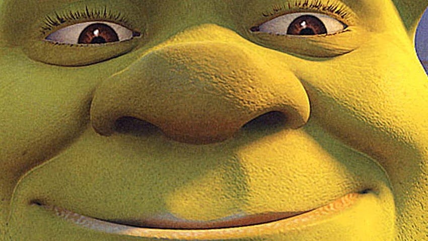 Dois Shrek 4 u, meme shrek papel de parede HD