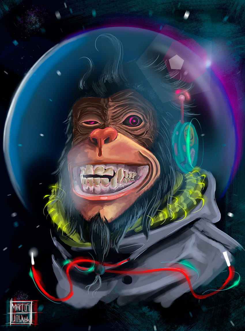 Space Monkey, monkey swag HD phone wallpaper