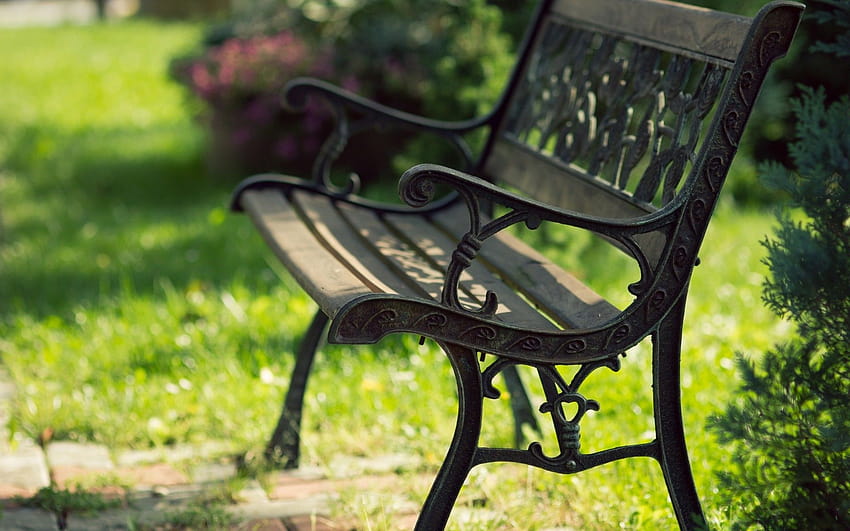 Lonely Bench, garden chair HD wallpaper | Pxfuel