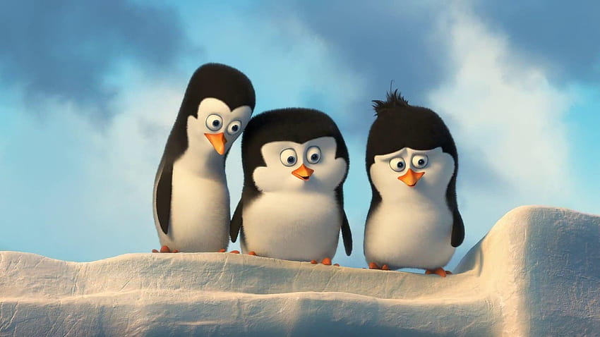 Pinguine aus Madagaskar PC, Baby-Pinguine HD-Hintergrundbild