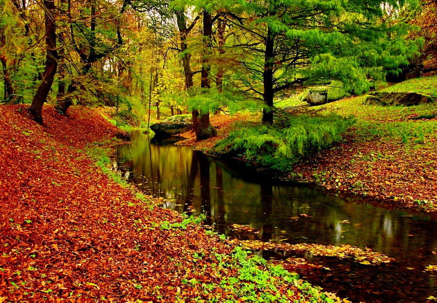 Autumn Beautiful Fall, autumn serenity HD wallpaper | Pxfuel