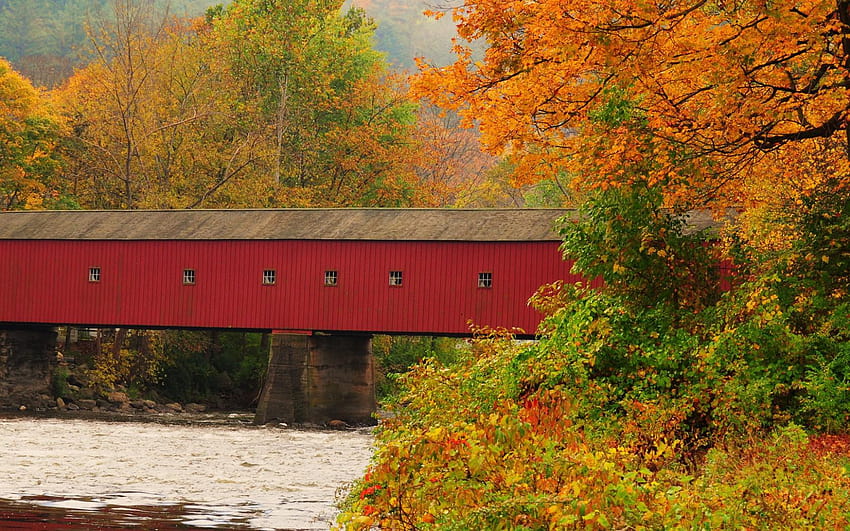 Autumn New England HD wallpaper | Pxfuel