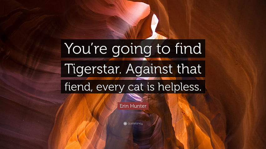 Erin Hunter cytat: „Znajdziesz Tygrysią Gwiazdę. Wobec tego diabła każdy kot jest bezradny”. Tapeta HD