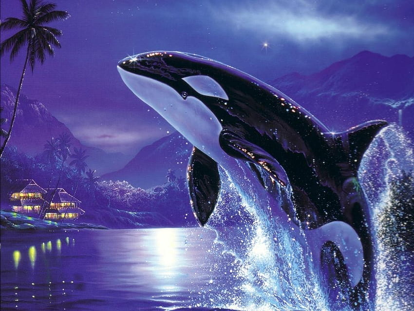 Orca whales Orca and backgrounds, killer whale HD wallpaper