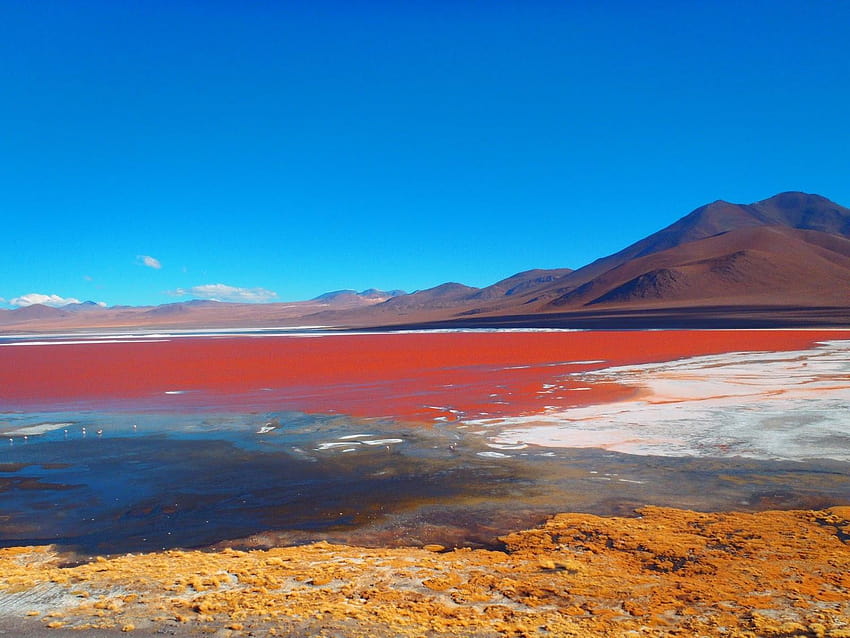 Desde la India 3: LA LAGUNA COLORADA EN LA RESERVA EDUARDO AVAROA HD wallpaper