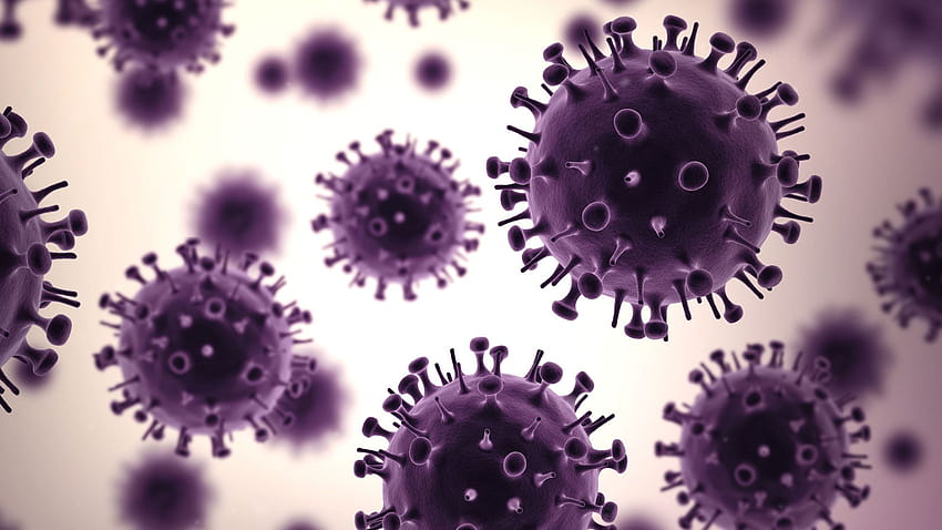 Immunität, Immunsystem HD-Hintergrundbild