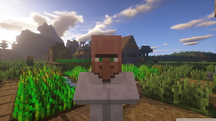 Minecraft Dorfbewohner, Minecraft 114 HD-Hintergrundbild