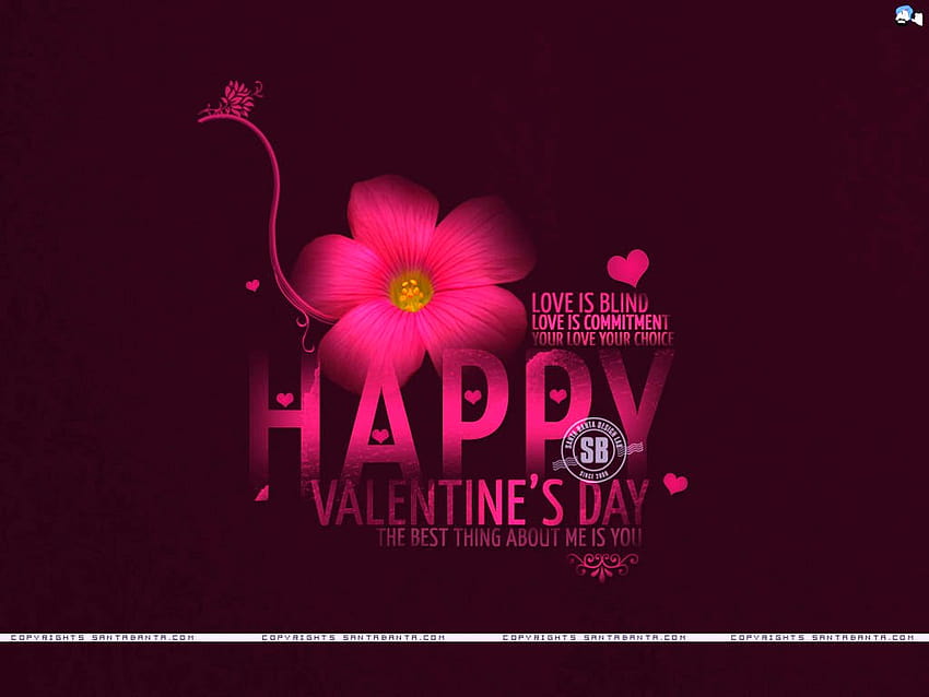 14 February Valentine's Day HD wallpaper