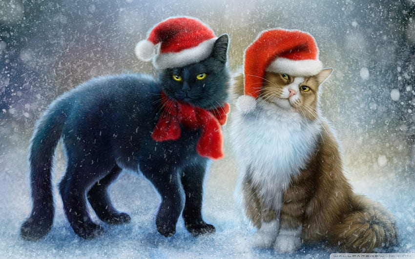 Christmas Cats Winter Snow Red Caps 1920 x1200 : 13, cats in snow HD wallpaper