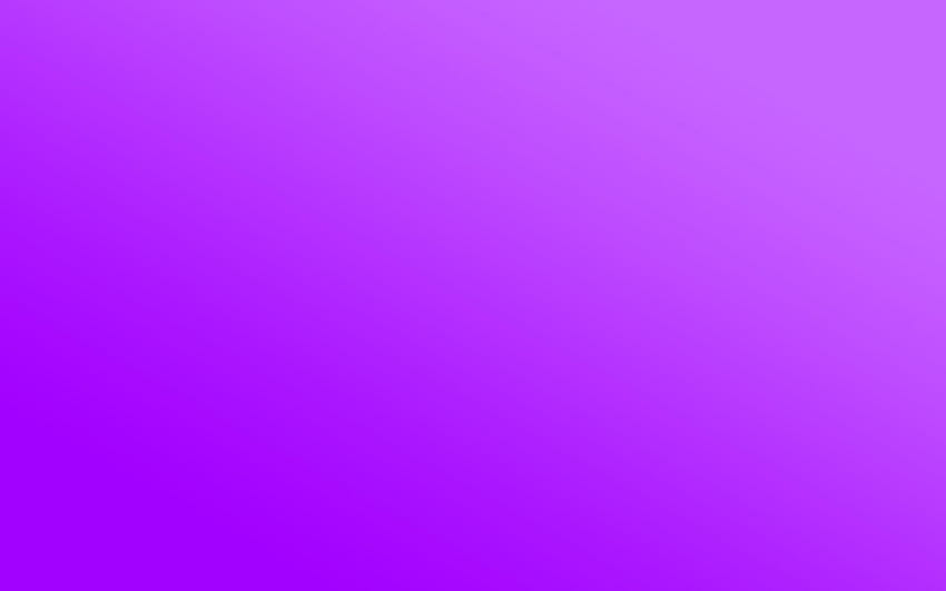 Purple Plain Backgrounds, purple background plain HD wallpaper