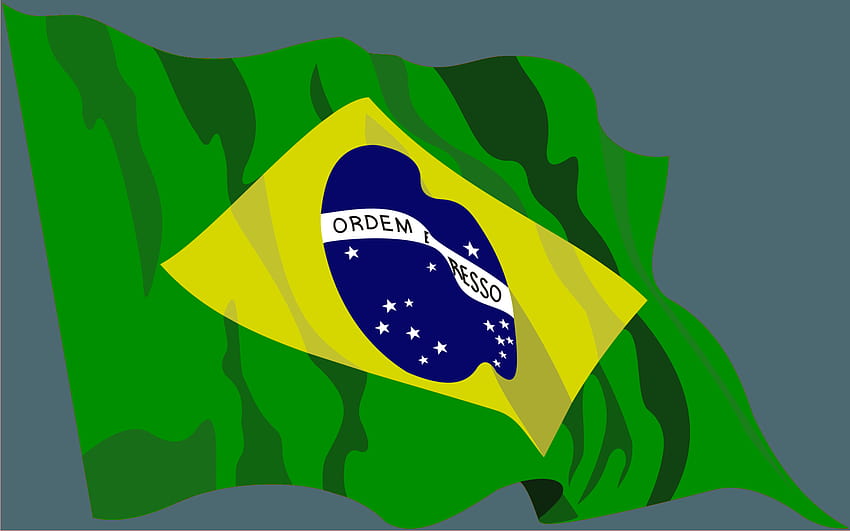 Brazil flag Free Stock Vectors