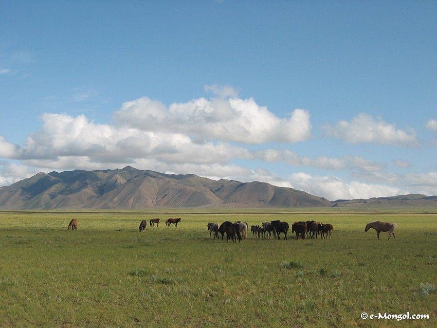 of Mongolia : of mongolia for your computer HD wallpaper