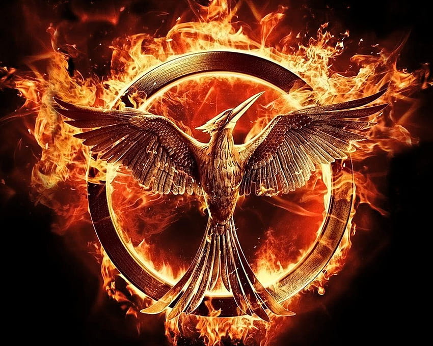 Katniss gif prend feu