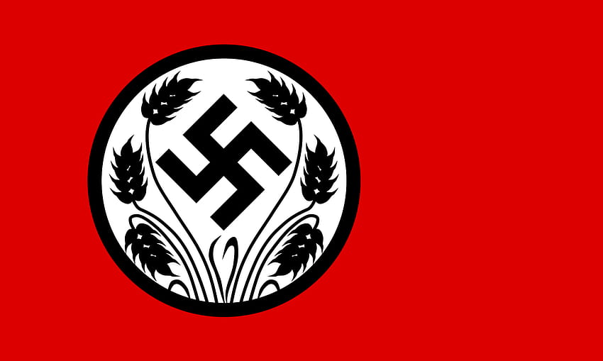 naziflag, bandeira nazista papel de parede HD