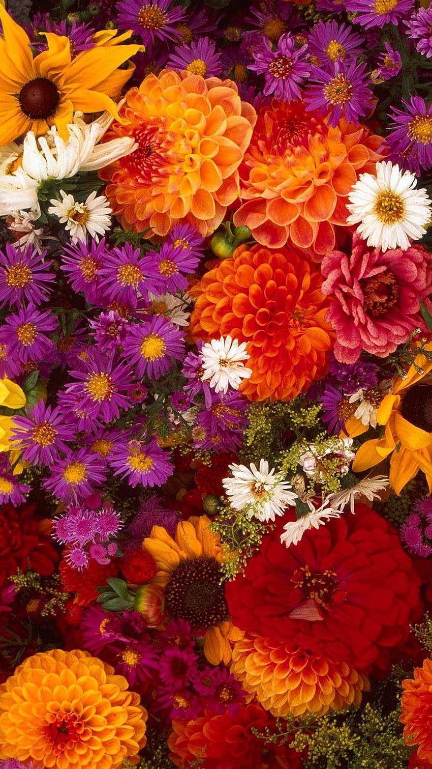 Best of Flowers, 3d flower android mobile HD phone wallpaper | Pxfuel