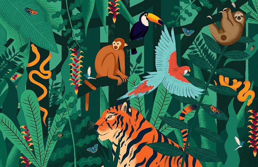 Jungle Animals Mural, rainforest animals HD wallpaper