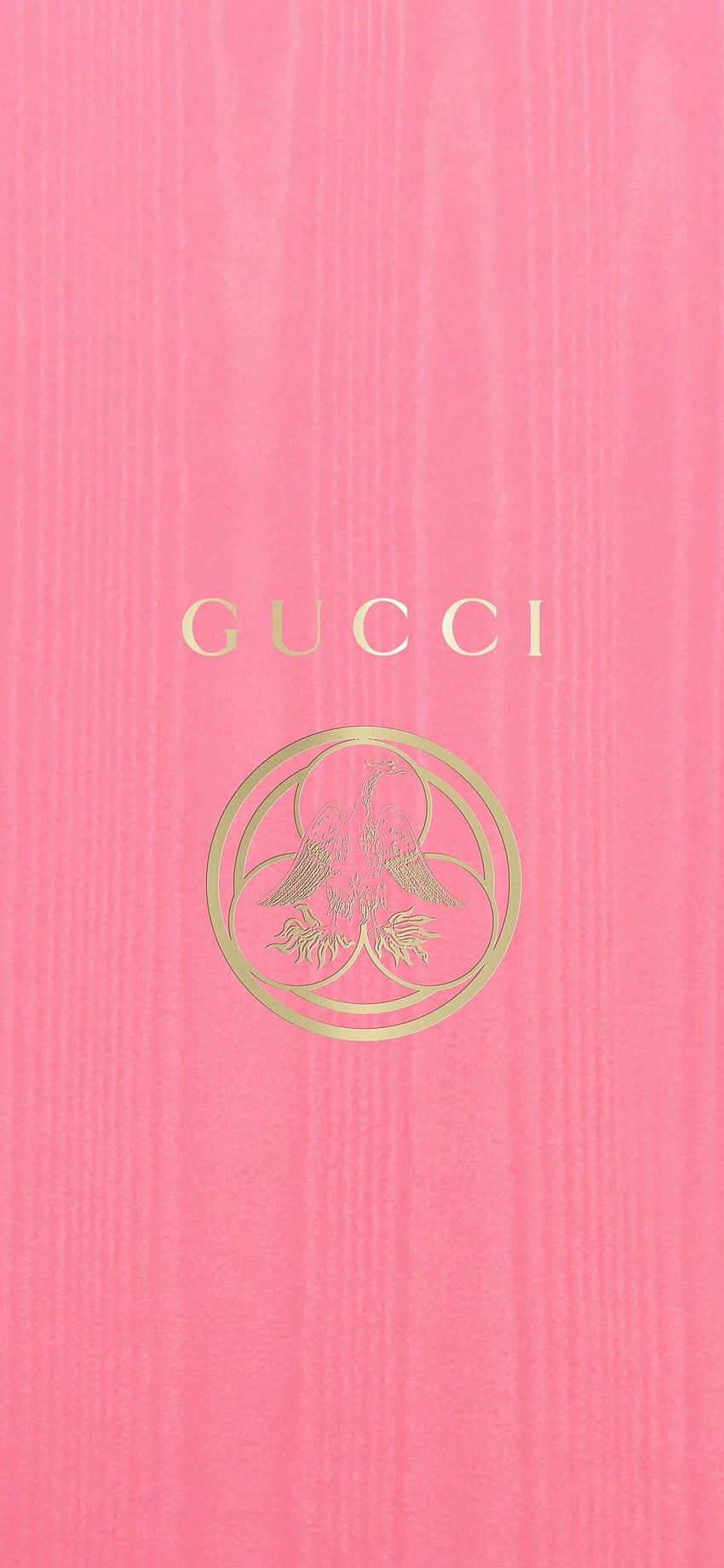 Esti 55 on Gucci, gucci kids HD phone wallpaper | Pxfuel