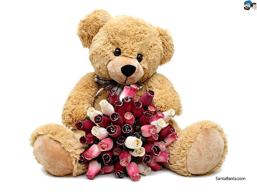 Teddy Bear With Flowers , tabby bear HD wallpaper
