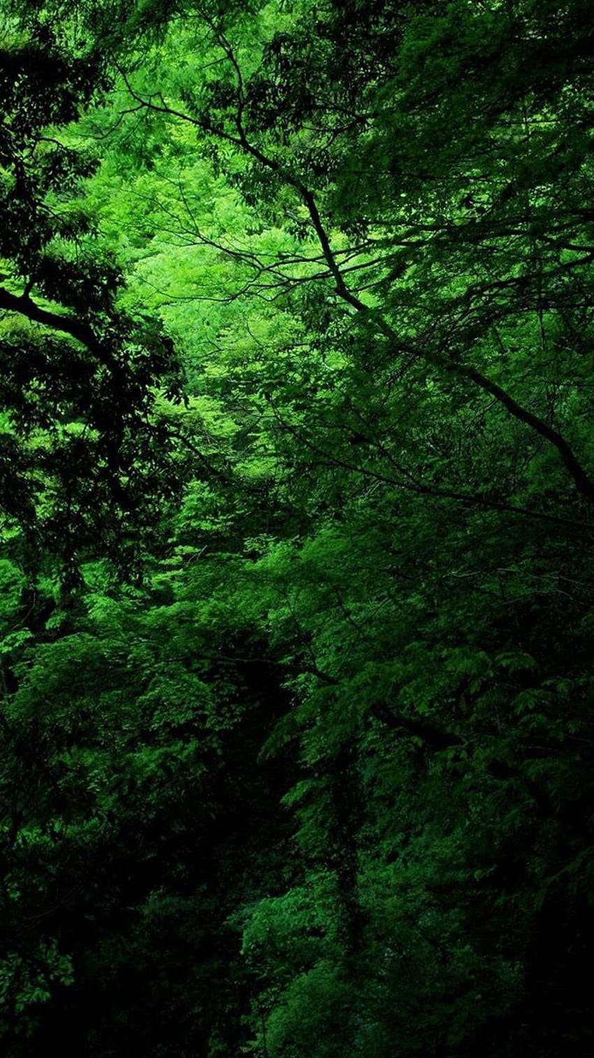 Bäume Natur Iphone Dekoration Dunkelschwarz Natur Grün [750x1334] für Ihr Handy und Tablet, dicke grüne Natur HD-Handy-Hintergrundbild