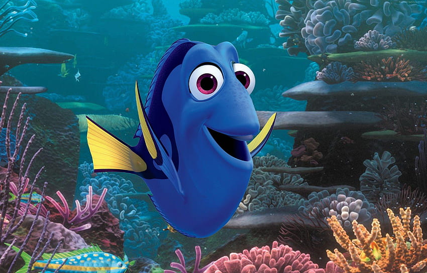 Gdzie jest Dory , Filmy: Gdzie jest Dory, nemo, ryba, Pixar Tapeta HD