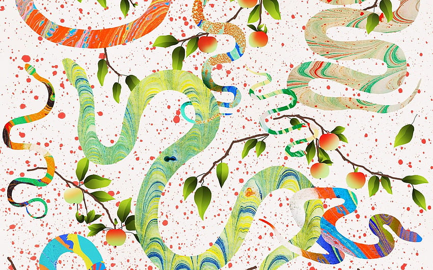 アート・ホー・ラップトップ・オン・ドッグ、審美的な抽象的なラップトップ 高画質の壁紙
