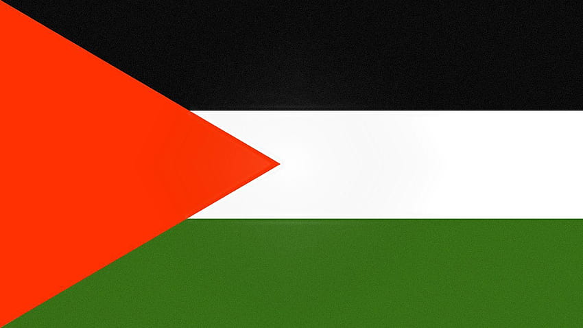 bandeira da palestina 1600 x 900 nós amamos a palestina viva a palestina, eu amo a bandeira da palestina papel de parede HD