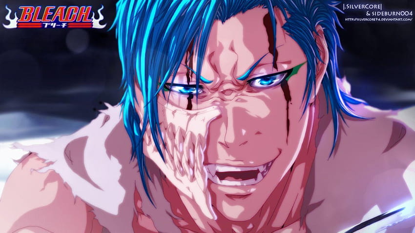 Grimmjow Jeagerjaques 26 Anime Backgrounds, グリムジョー・ジャガージャック 高画質の壁紙