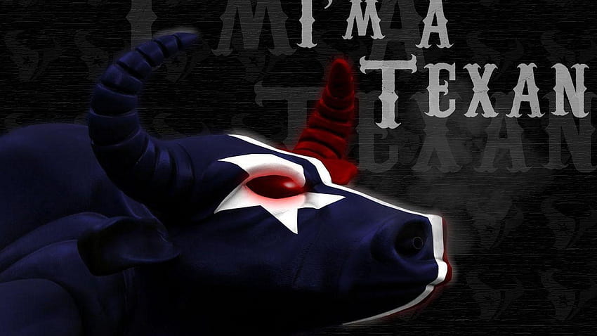 Houston Texans iPhone Wallpaper (66+ images)