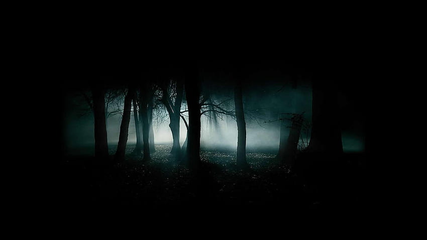 Dark Scary, spooky forest HD wallpaper