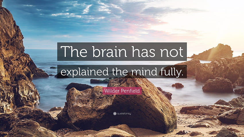 Citação de Wilder Penfield: “O cérebro não explicou a mente completamente papel de parede HD