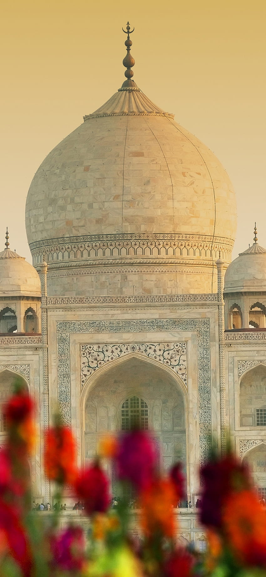 Taj Mahal , Agra, India, UNESCO World Heritage Site, World, taj mahal iphone HD phone wallpaper
