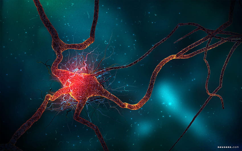 Nöron Hücresi, nöronlar HD duvar kağıdı