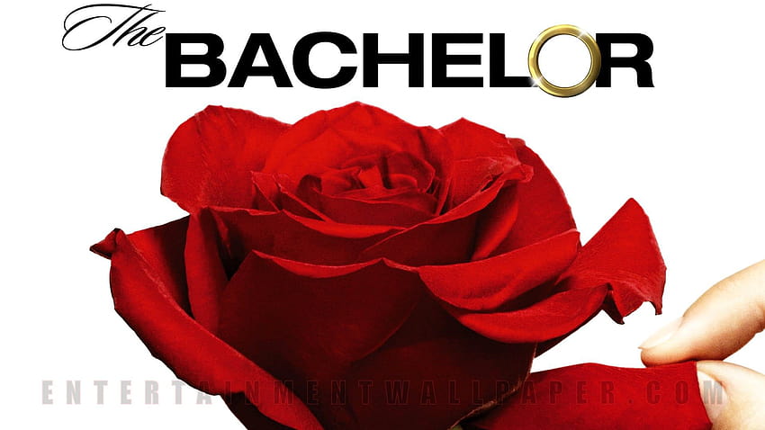 9 The Bachelor, bachelors party HD wallpaper