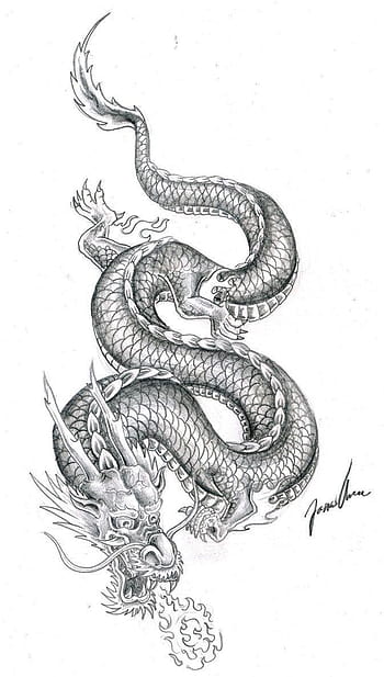 free-flash-printable-heart-dragon-tattoo-design-outline | Flickr