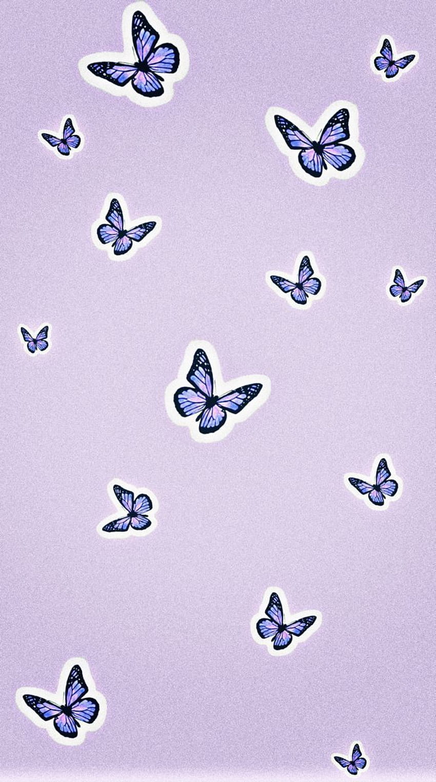 Pin on iphone 11, iphone purple butterfly HD phone wallpaper