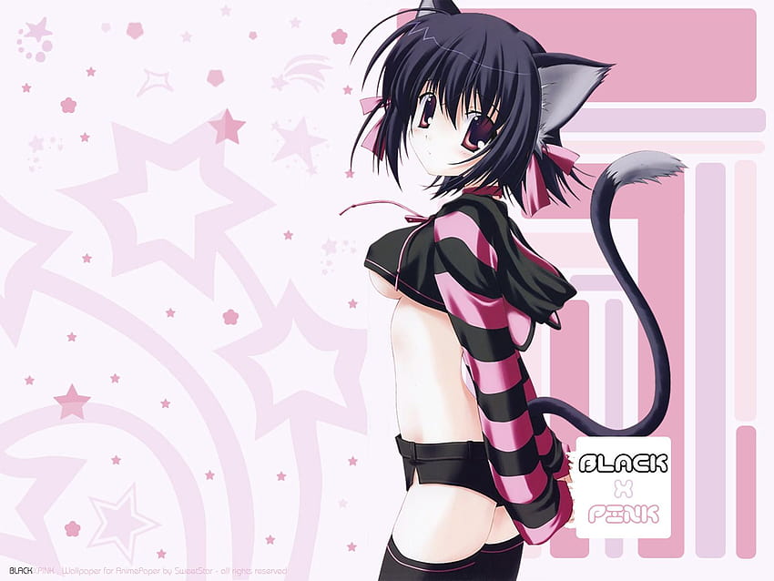 Tierohren schwarz x rosa Catgirl Nanao Naru Thighhighs Underboob, unanständiger Anime HD-Hintergrundbild