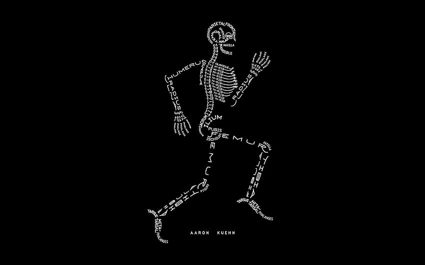 1170952 illustration, bones, skeleton, hand, arm, black and white, monochrome graphy, human body, font, organ, skeleton hand HD wallpaper