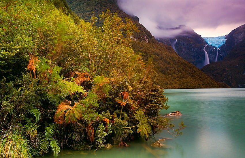 : sunlight, landscape, forest, mountains, waterfall, lake, water, nature, reflection, clouds, glaciers, morning, river, shrubs, valley, ferns, wilderness, Chile, Patagonia, tree, autumn, leaf, mountain, flower, season 1200x775, patagonia autumn HD wallpaper