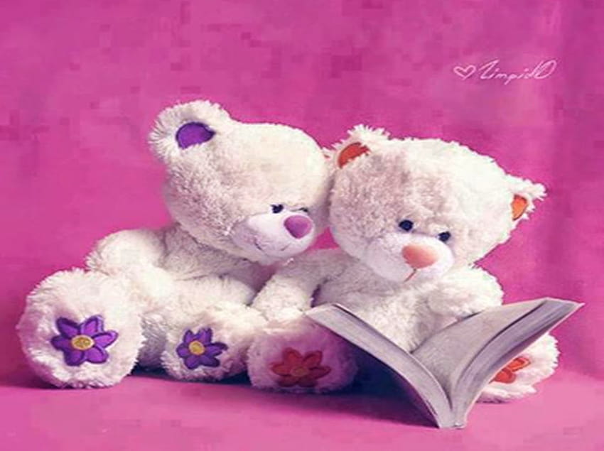 4 Most Beautiful Teddy Bear, teddy couple HD wallpaper