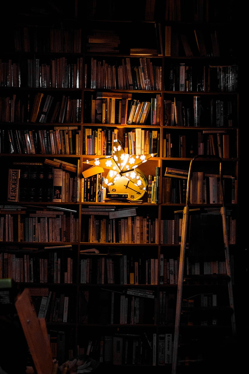 Book Light, dark library HD phone wallpaper