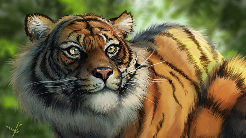 Tiger Digital Artwork, Artist, tiger wildlife artwork HD wallpaper